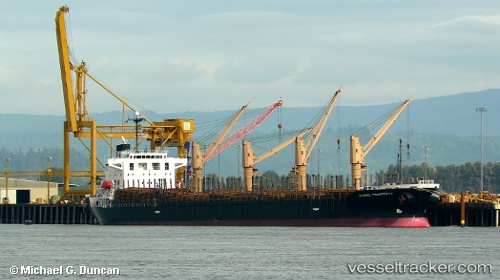 vessel Hai Nam 87 IMO: 9316969, Bulk Carrier
