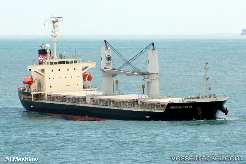 vessel Jc Treasure IMO: 9316971, Bulk Carrier