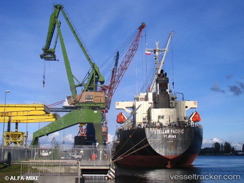 vessel GANNET S IMO: 9316995, Bulk Carrier