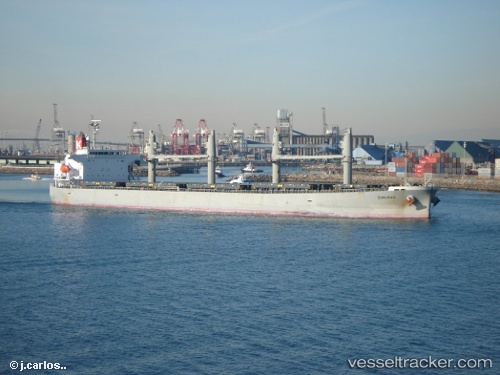 vessel Thor Fearless IMO: 9317341, Bulk Carrier
