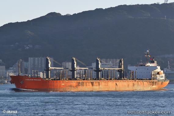 vessel Lodestar Princess IMO: 9317743, Bulk Carrier
