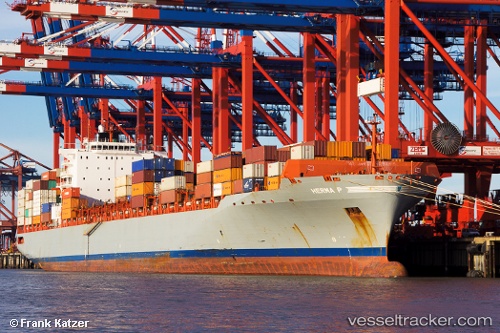 vessel MSC TAMPA IMO: 9317925, Container Ship