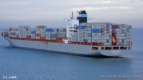 vessel MSC TAMPICO IMO: 9317937, Container Ship