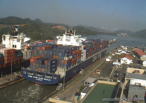 vessel Cma Cgm Blue Whale IMO: 9317963, Container Ship
