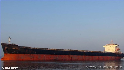 vessel The Living IMO: 9318369, Bulk Carrier
