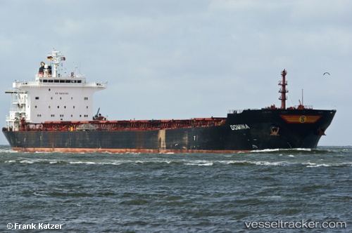 vessel The Wise IMO: 9318606, Bulk Carrier
