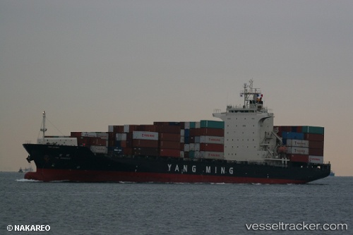 vessel Ym Immense IMO: 9319131, Container Ship
