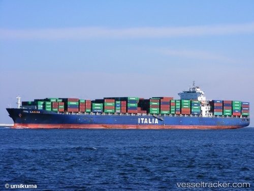 vessel CMA CGM MARLIN IMO: 9322463, Container Ship