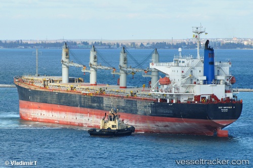 vessel Sparrow IMO: 9322774, Bulk Carrier
