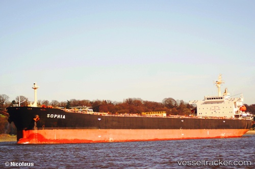 vessel Sophia IMO: 9323912, Bulk Carrier
