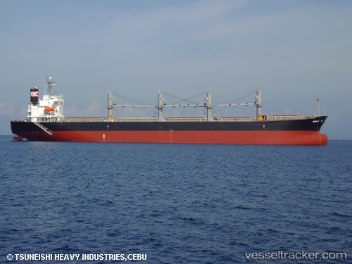 vessel Xin Bo IMO: 9324655, Bulk Carrier