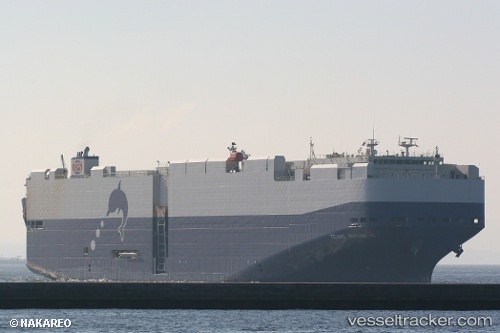 vessel Trans Future 6 IMO: 9326081, Vehicles Carrier

