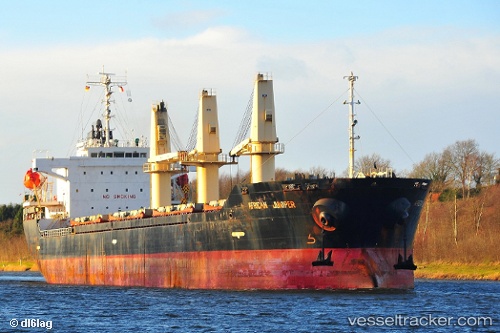 vessel African Juniper IMO: 9326330, Bulk Carrier
