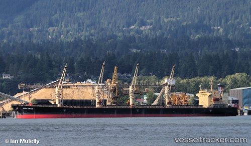 vessel Dubai Crown IMO: 9326378, Bulk Carrier
