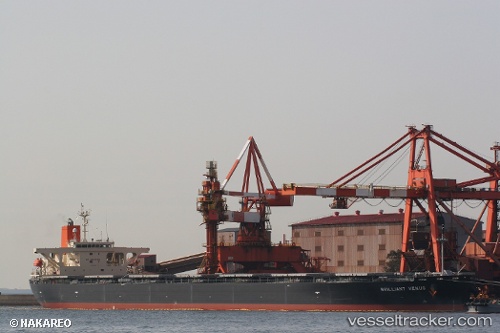 vessel Brilliant Venus IMO: 9326392, Bulk Carrier
