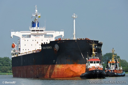 vessel Star Renee IMO: 9328948, Bulk Carrier
