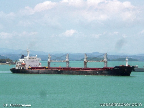 vessel Taurus Two IMO: 9330111, Bulk Carrier

