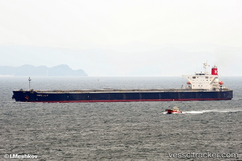 vessel Mount Carmel IMO: 9330305, Bulk Carrier
