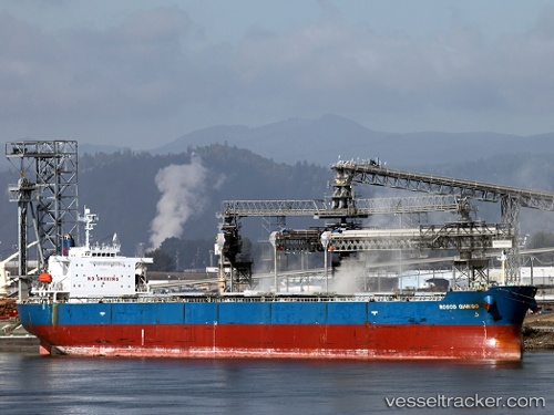vessel Rosco Ginkgo IMO: 9330898, Bulk Carrier
