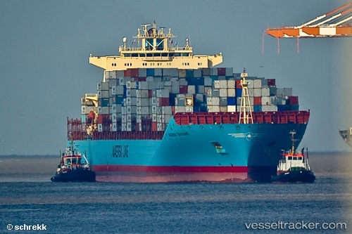 vessel Maersk Taikung IMO: 9334662, Container Ship
