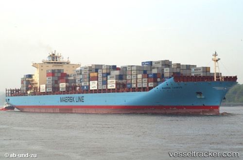 vessel Maersk Taurus IMO: 9334674, Container Ship
