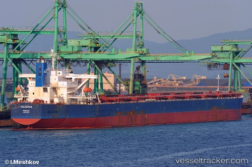 vessel Winning Kindness IMO: 9335240, Bulk Carrier
