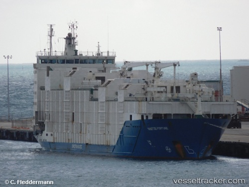 vessel Yangtze Fortune IMO: 9336282, Livestock Carrier
