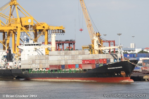 vessel Biendong Freighter IMO: 9336335, Container Ship
