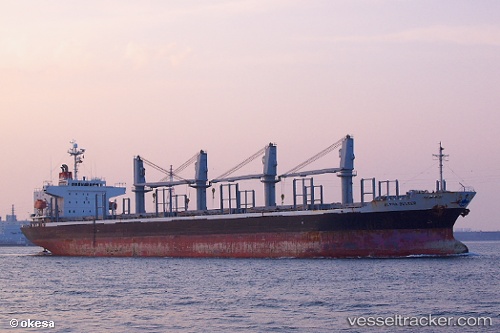 vessel Alpha Bulker IMO: 9336763, Bulk Carrier
