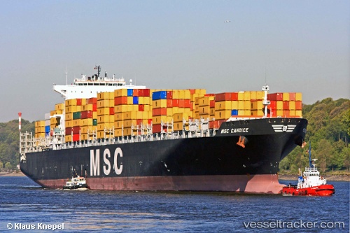 vessel Msc Candice IMO: 9339284, Container Ship
