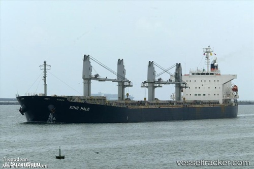 vessel Navdhenu Purna IMO: 9339765, Bulk Carrier
