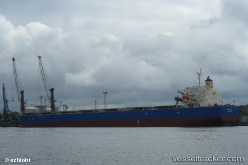 vessel ASL NEPTUNE IMO: 9340556, Bulk Carrier