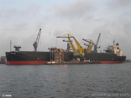 vessel Dyna Pure IMO: 9343431, Wood Chips Carrier
