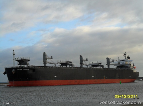 vessel Silver Pegasus IMO: 9343455, Wood Chips Carrier
