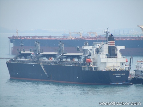 vessel Regno Marinus IMO: 9343467, Wood Chips Carrier
