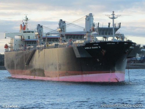 vessel World Swan 2 IMO: 9344045, Wood Chips Carrier
