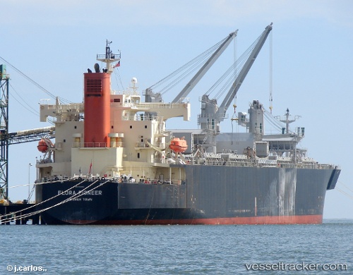 vessel Flora Pioneer IMO: 9344083, Wood Chips Carrier
