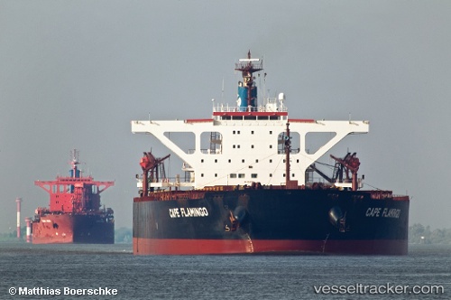 vessel CAPE FLAMINGO IMO: 9344289, Bulk Carrier
