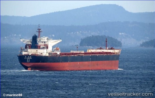 vessel Cvision IMO: 9344473, Bulk Carrier
