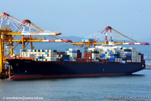 vessel Zardis IMO: 9349679, Container Ship
