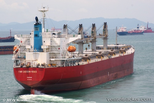 vessel Swan IMO: 9350068, Bulk Carrier
