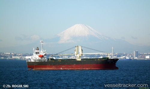 vessel ST LILY IMO: 9350109, General Cargo Ship
