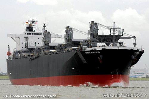 vessel Ocean Pegasus IMO: 9354507, Wood Chips Carrier
