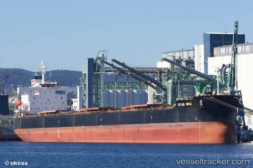 vessel Star Nina IMO: 9354832, Bulk Carrier
