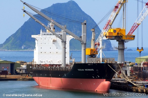 vessel Torres Strait IMO: 9357523, Container Ship
