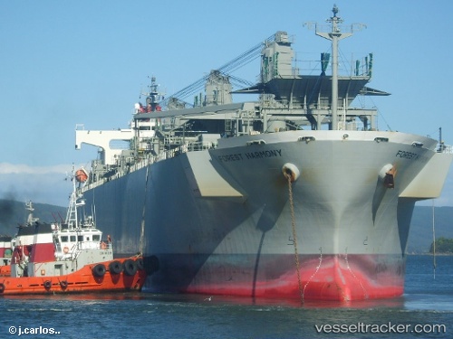 vessel Forest Harmony IMO: 9357896, Wood Chips Carrier
