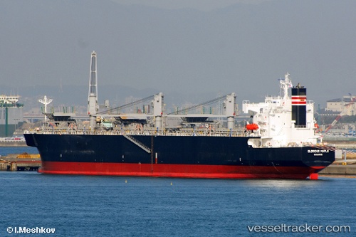 vessel Glorious Maple IMO: 9357925, Wood Chips Carrier
