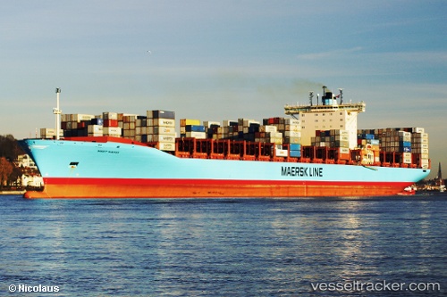 vessel Guthorm Maersk IMO: 9359040, Container Ship
