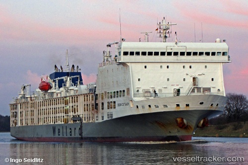 vessel Bahijah IMO: 9360788, Livestock Carrier
