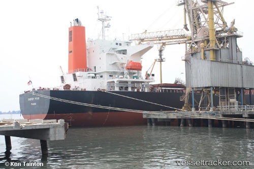 vessel Leni IMO: 9362982, Bulk Carrier
